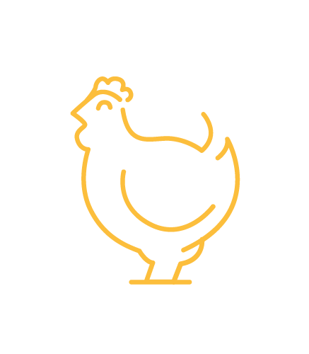 chicken.png